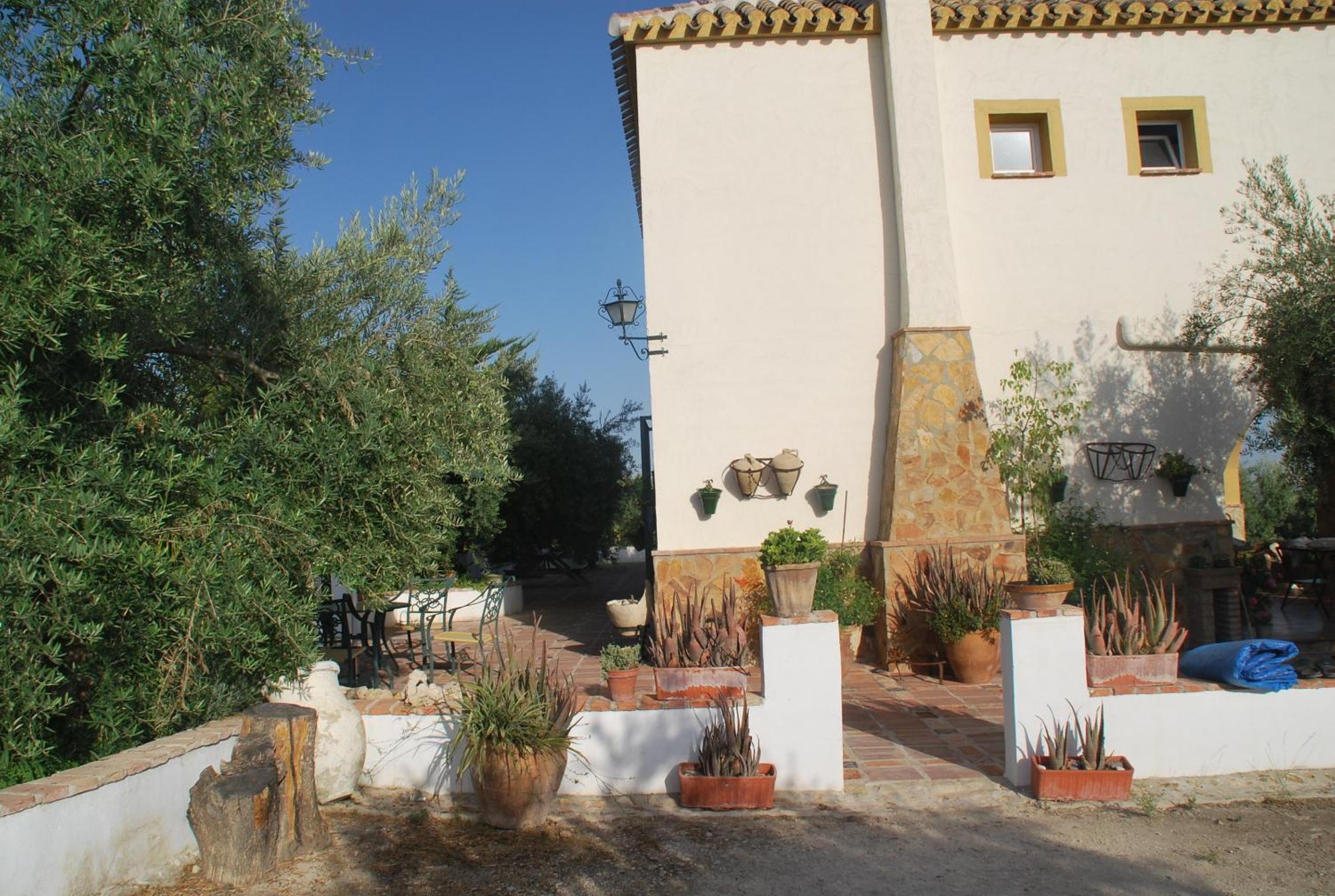 Agroturismo Ecologico El Cortijillo Luque エクステリア 写真