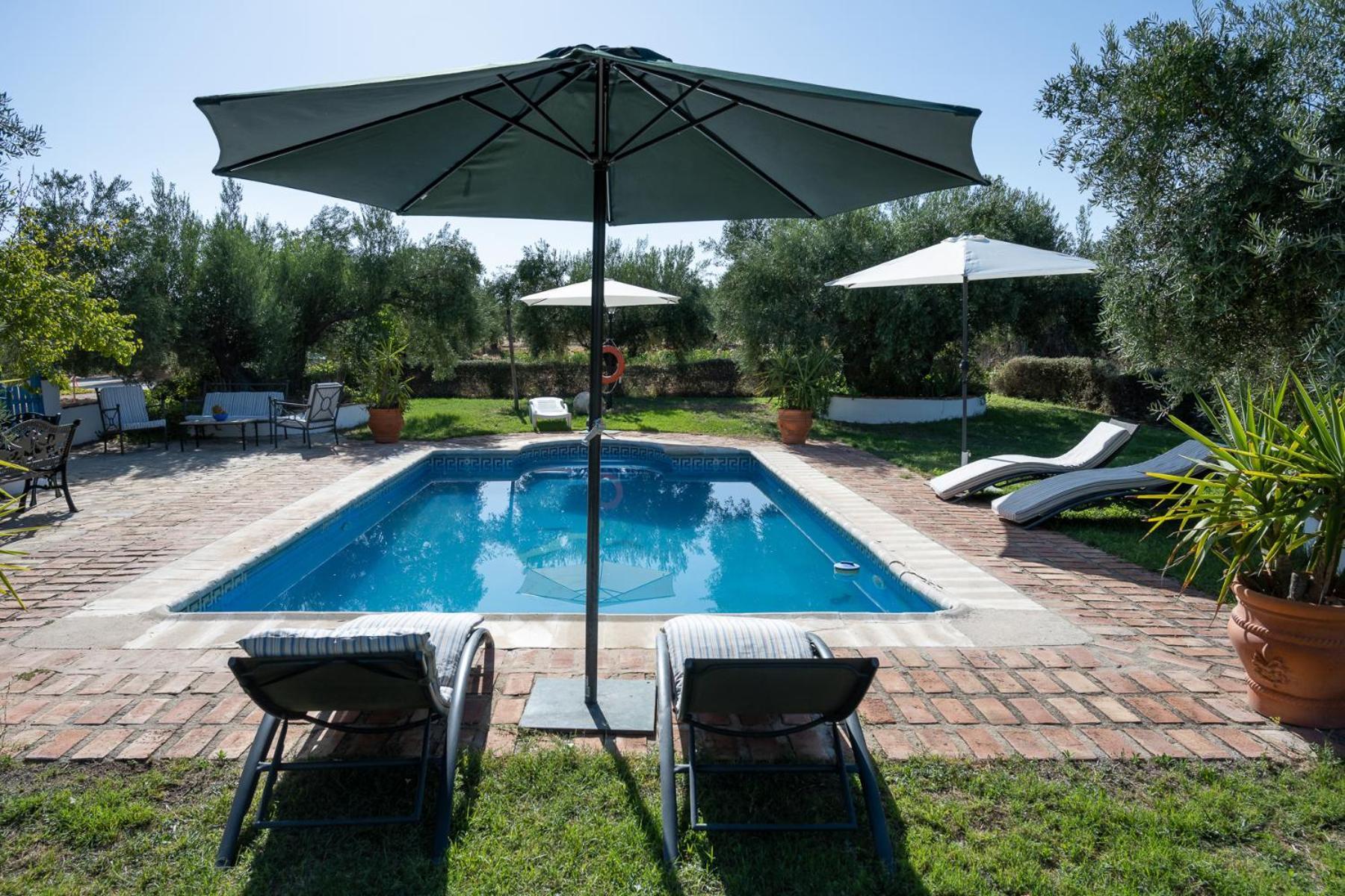 Agroturismo Ecologico El Cortijillo Luque エクステリア 写真