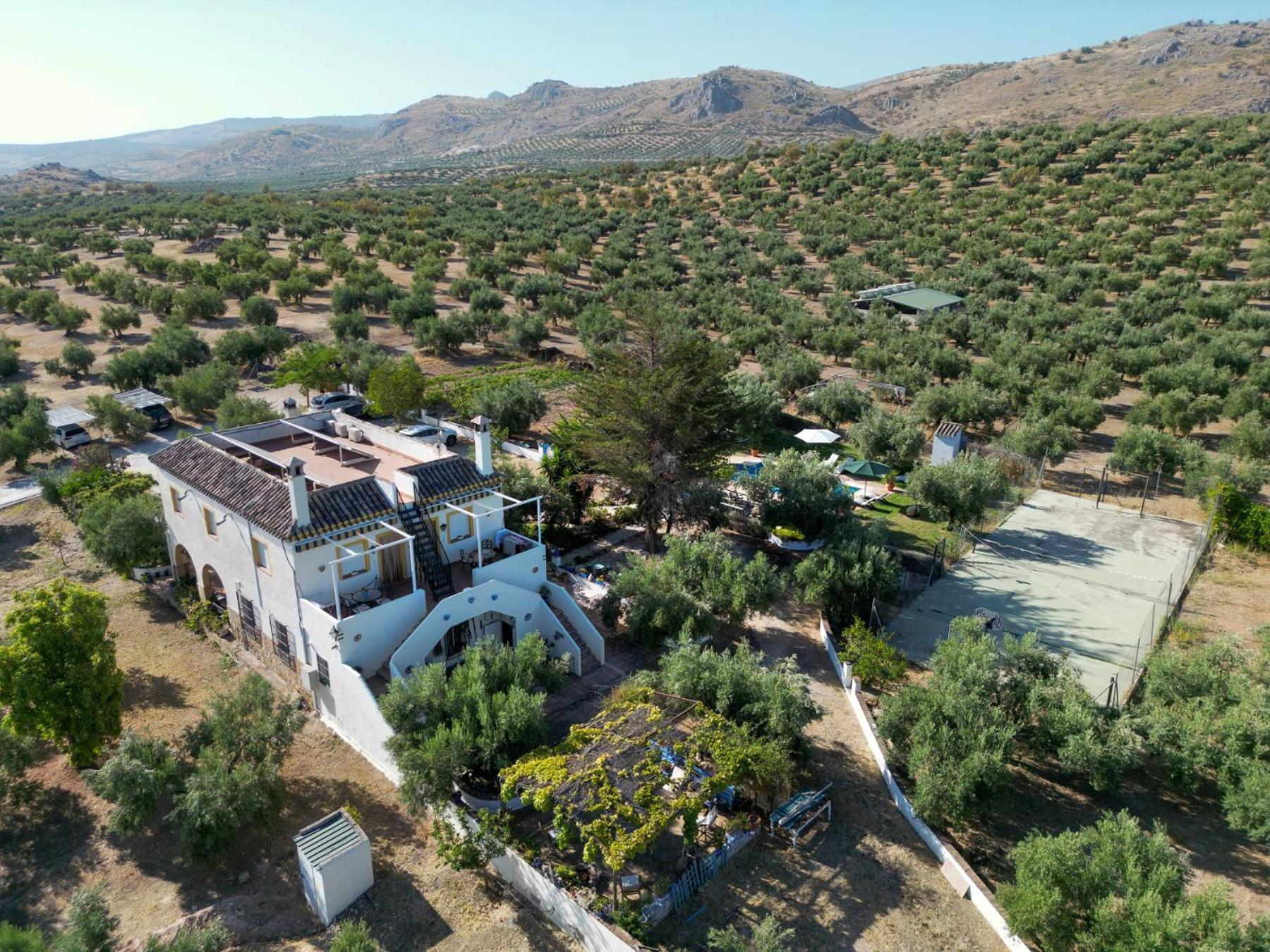 Agroturismo Ecologico El Cortijillo Luque エクステリア 写真