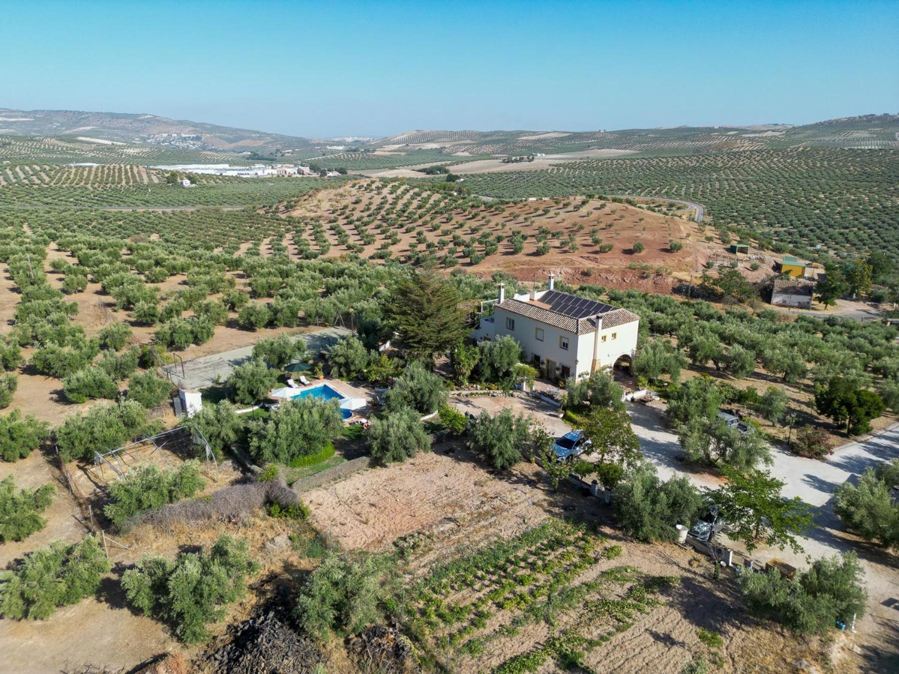Agroturismo Ecologico El Cortijillo Luque エクステリア 写真