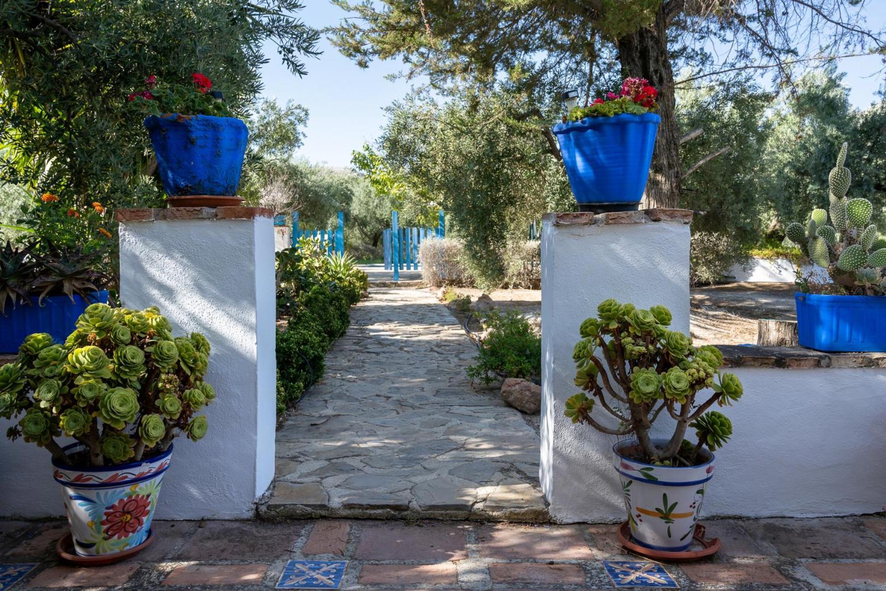 Agroturismo Ecologico El Cortijillo Luque エクステリア 写真
