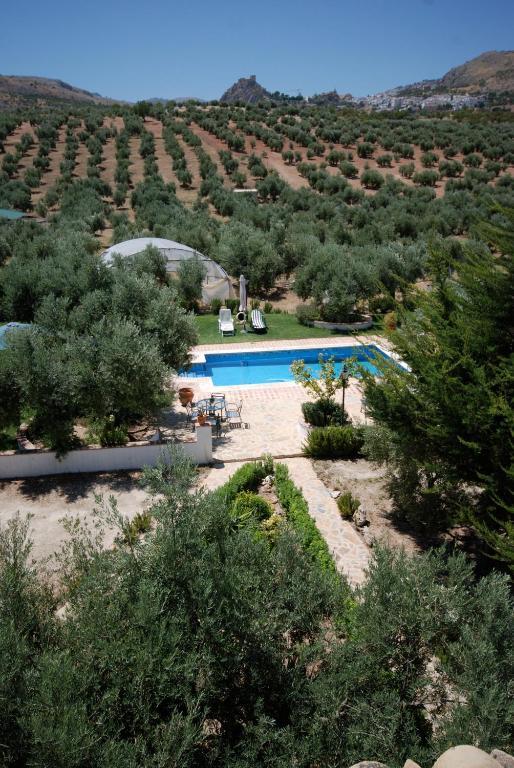 Agroturismo Ecologico El Cortijillo Luque エクステリア 写真