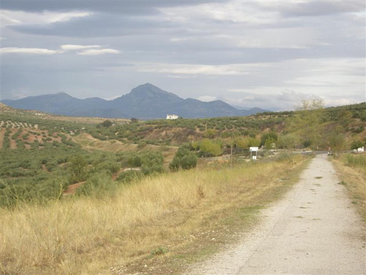 Agroturismo Ecologico El Cortijillo Luque エクステリア 写真